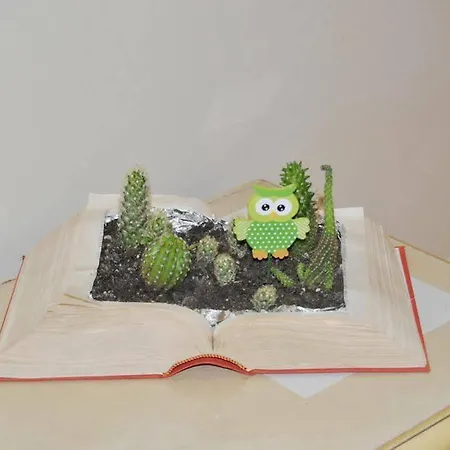 Casa Aurora Gæstehus