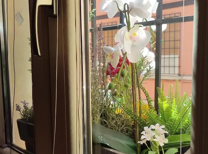 Guest house R&b Casa Aurora 4*