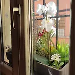 Guest house R&b Casa Aurora 4*