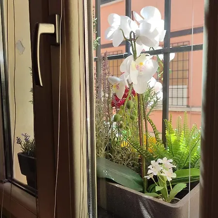 招待所 Casa Aurora 4*